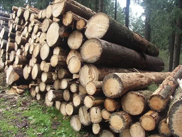 Holzpolter zur Vermarktung an der Forststraße